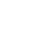 Financial Crimes